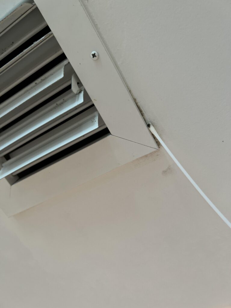American Mold Assessments & Environmental Inspections